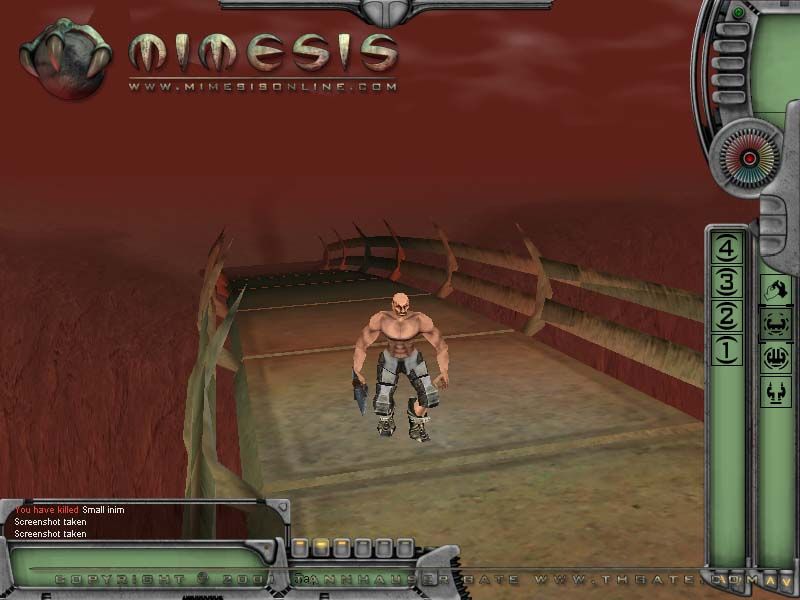 Mimesis Online Screenshot (Official website, 2001-10-29 screenshots)