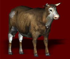 Once Upon a Knight Render (Official website): The Cow
