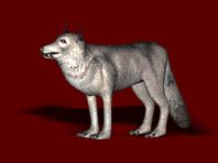Once Upon a Knight Render (Official website): Wolf