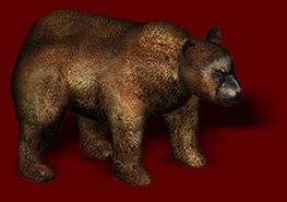 Once Upon a Knight Render (Official website): Bear