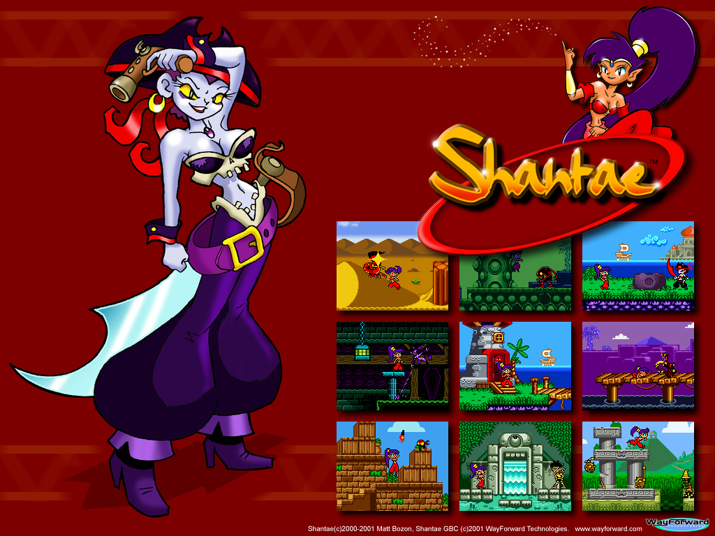 Shantae and Risky | Game concept art, Anime, Minecraft wallpaper