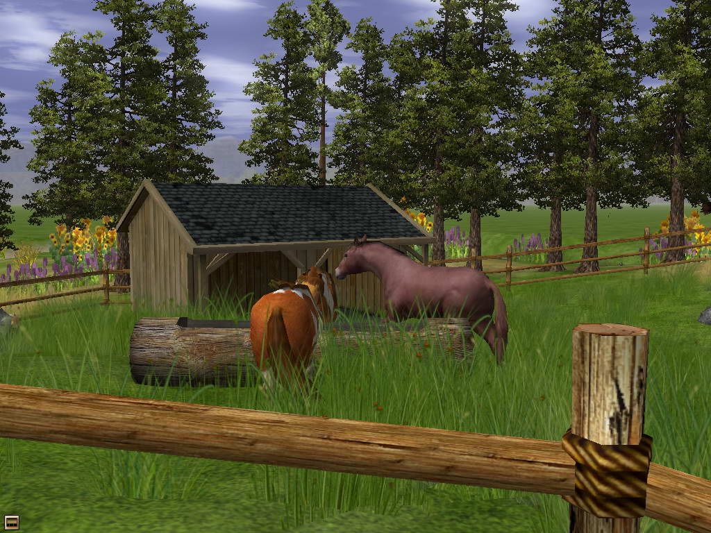 Wildlife Park 2: Horses Screenshot (Steam)