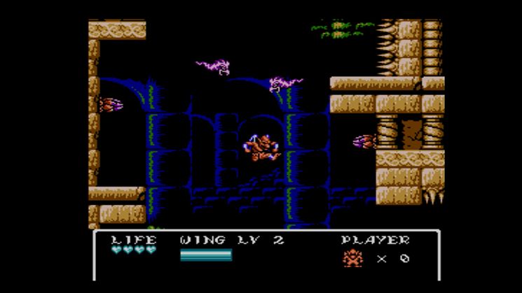 Gargoyle's Quest II Screenshot (Nintendo eShop (Wii U))