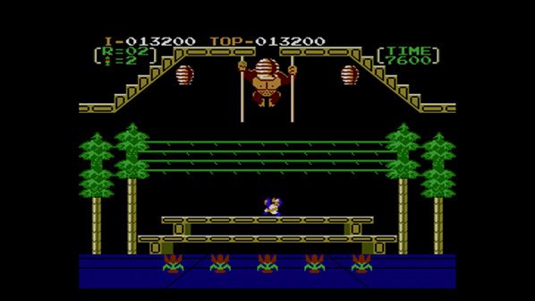 Donkey Kong 3 Screenshot (Nintendo eShop (Wii U))