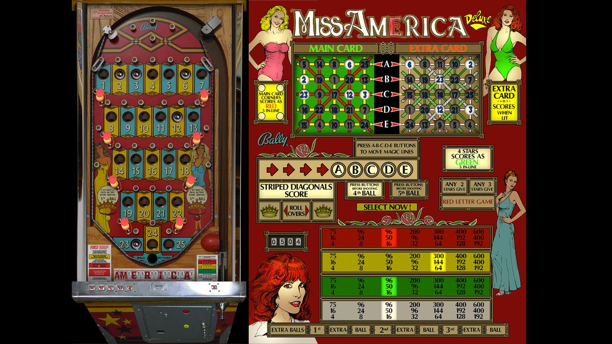 Bingo Pinball Gameroom Screenshot (Steam)