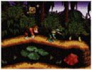 Donkey Kong Country Screenshot (Official Nintendo Website, December 1996)