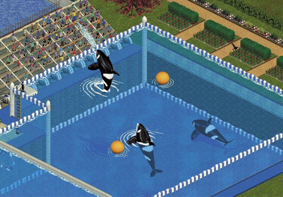 Zoo Tycoon: Complete Collection Screenshot (Zoo Tycoon Press Kit): Orca show