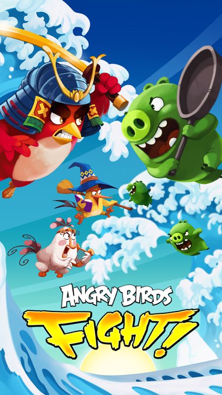 Angry birds fight