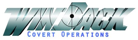WinBack: Covert Operations Logo (Nintendo Artwork CD IV)