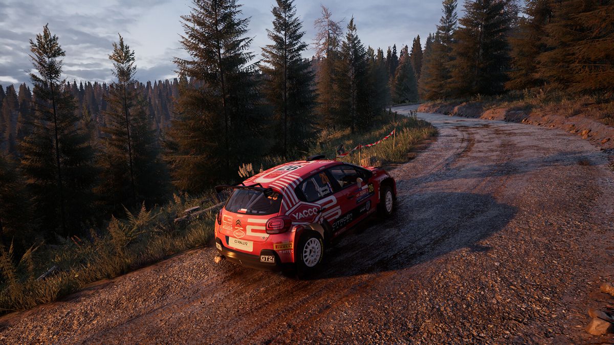 WRC Screenshot (Steam)