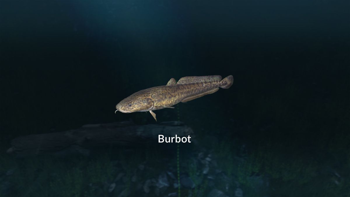 Ultimate Fishing Simulator: New Fish Species Screenshot (Steam)