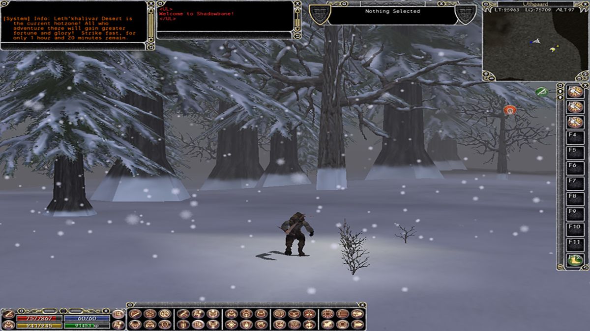 Shadowbane Screenshot (Steam)