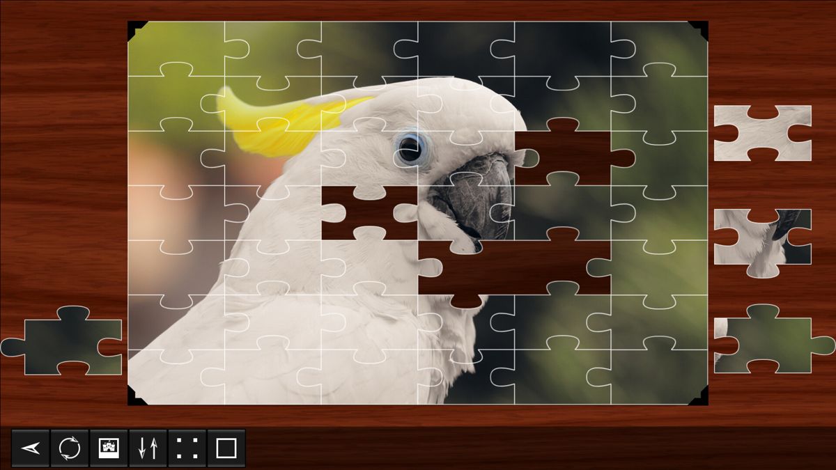 Jigsaw Puzzle World: Birds Screenshot (Steam)