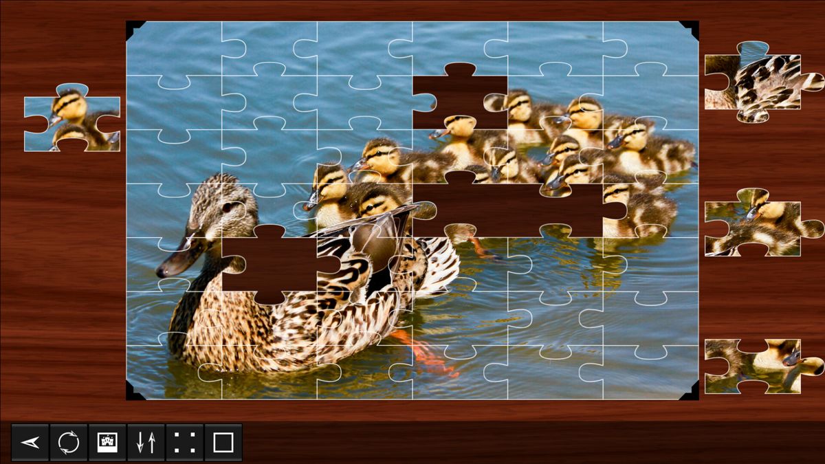 Jigsaw Puzzle World: Birds Screenshot (Steam)