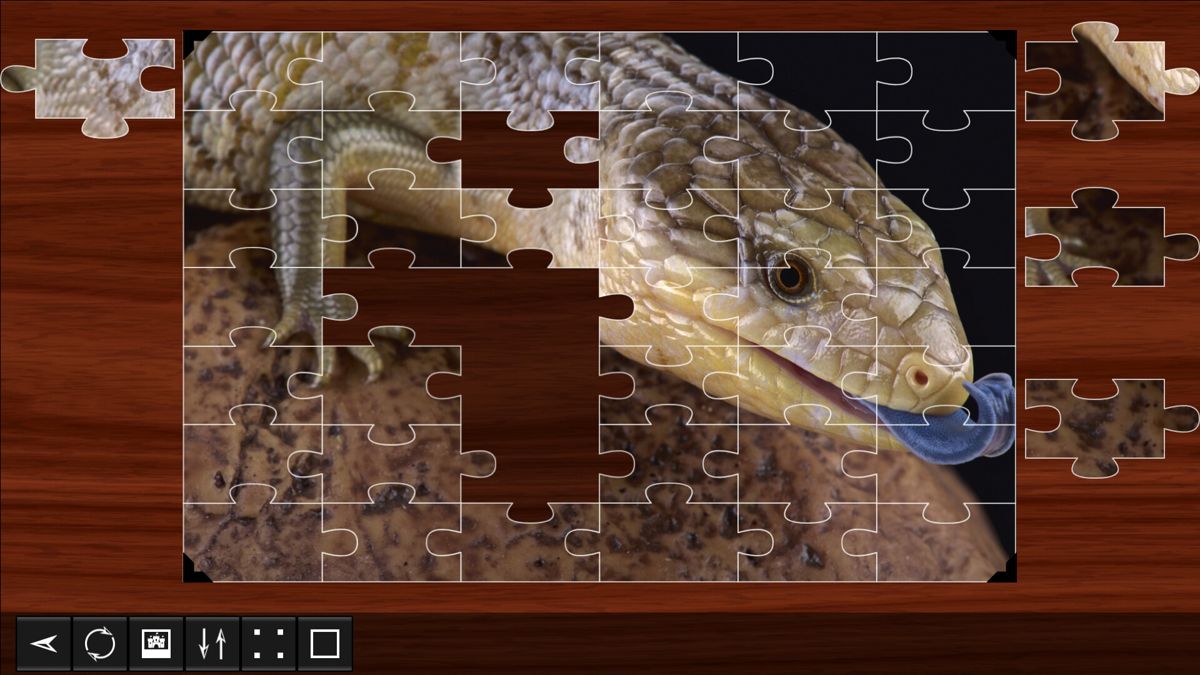Jigsaw Puzzle World: Reptiles Screenshot (Steam)