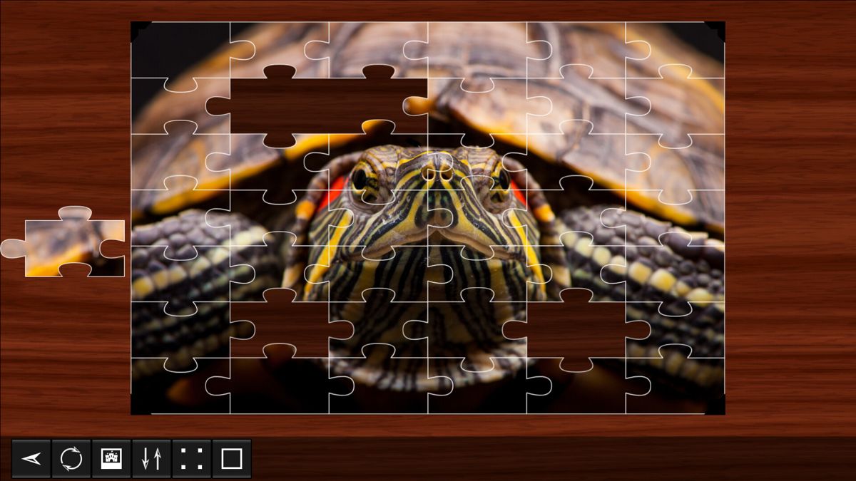 Jigsaw Puzzle World: Reptiles 2 Screenshot (Steam)