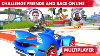 Sonic & All-Stars Racing: Transformed Other (iTunes Store)