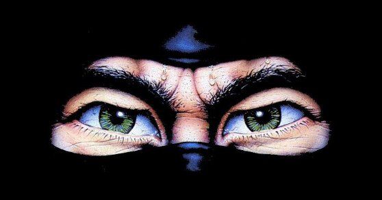 The Last Ninja Other (System 3 Official website): Artwork by Steinar Lund.