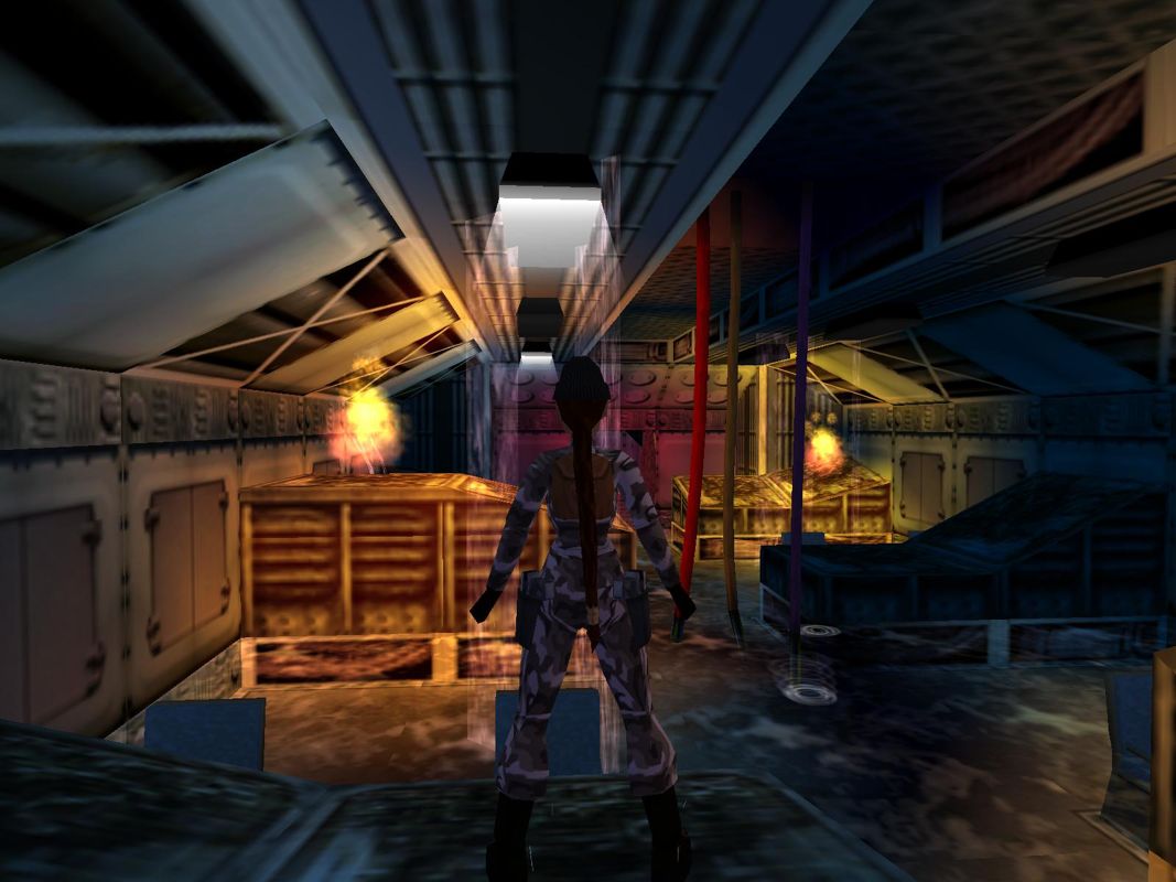 Tomb Raider: Chronicles Screenshot (Tomb Raider: Chronicles Fankit)