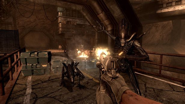 Aliens vs Predator Screenshot (PlayStation.com)