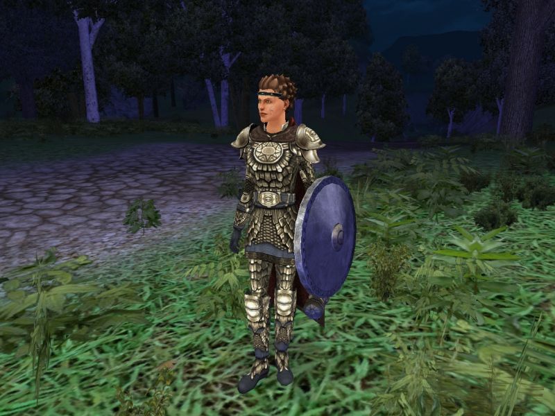 Dark Age of Camelot Screenshot (Official Website - Classes of Hibernia): Champion (Celt) - A combination spellcaster and fighter, the Champion ...