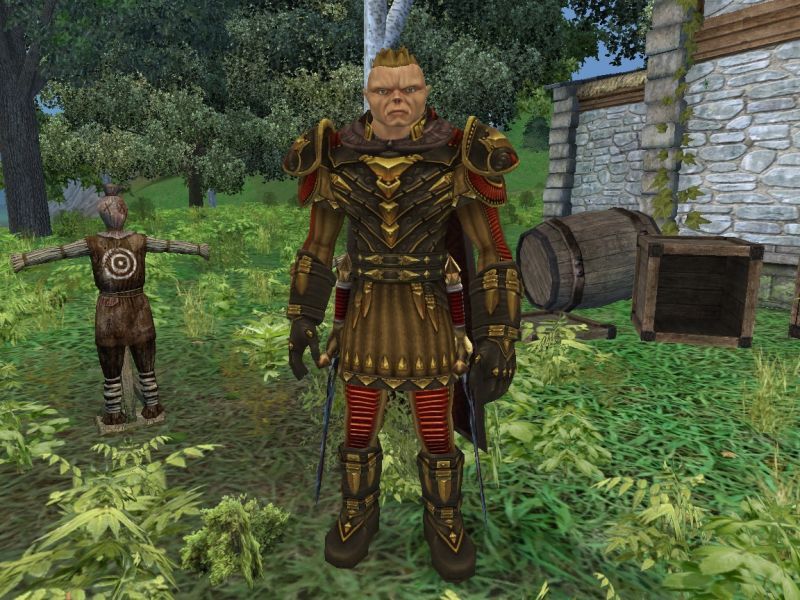 Dark Age of Camelot Screenshot (Official Website - Classes of Hibernia): Blademaster (Firbolg) - The light fighter of Hibernia. Specializes in ...