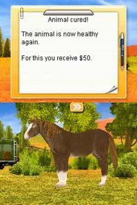Paws & Claws: Pet Vet - Australian Adventures Screenshot (Nintendo eShop)