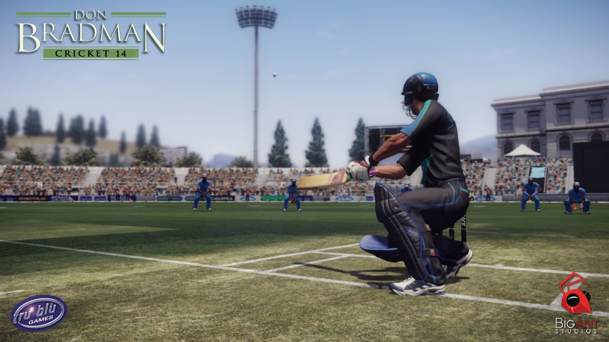 Don Bradman Cricket 14 Screenshot (Steam)