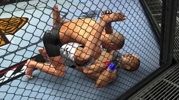 UFC 2009 Undisputed Screenshot (PlayStation.com)