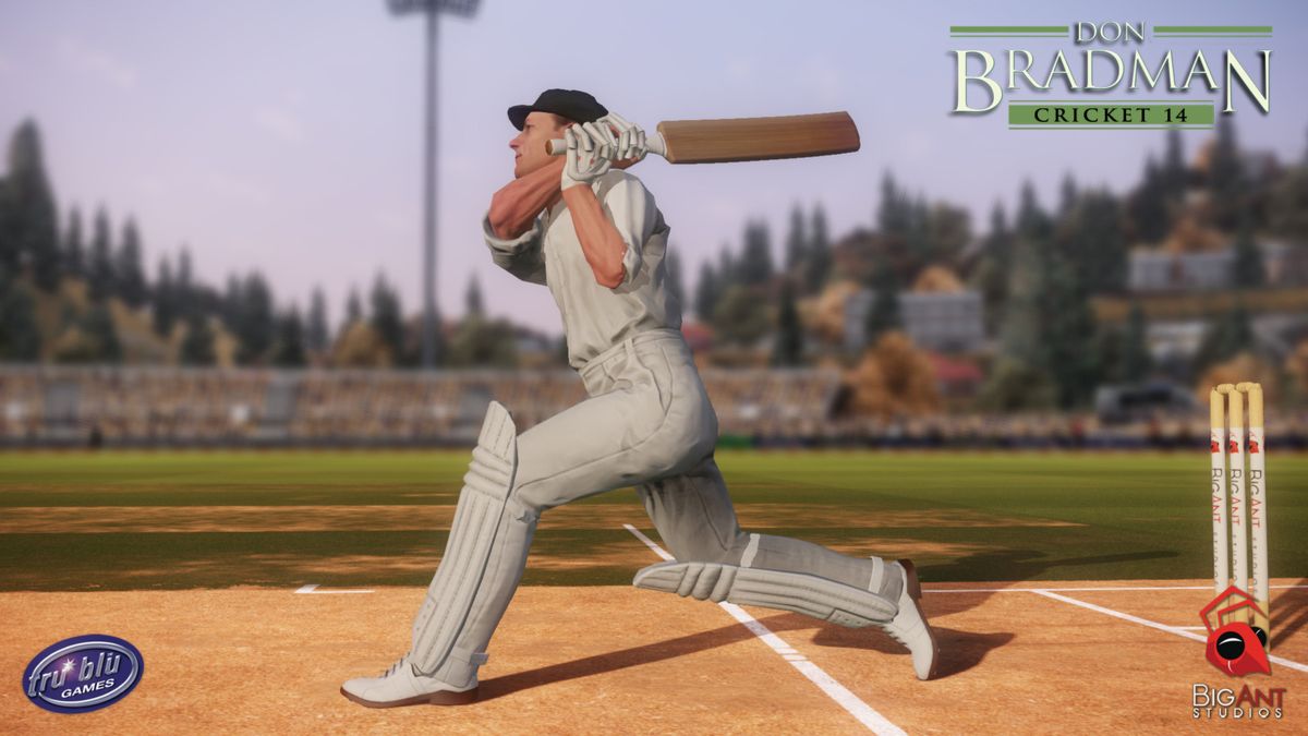 Don Bradman Cricket 14 Screenshot (Steam)