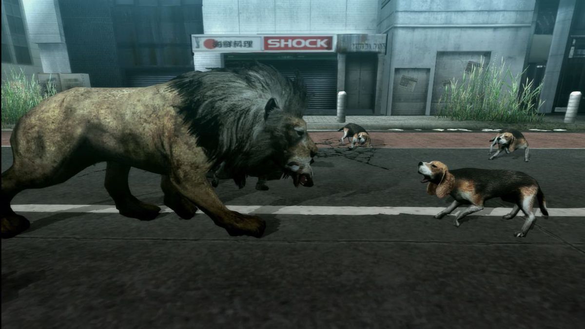 Tokyo Jungle Screenshot (PlayStation.com)