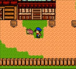 Harvest Moon 3 GBC Screenshot (Nintendo eShop)