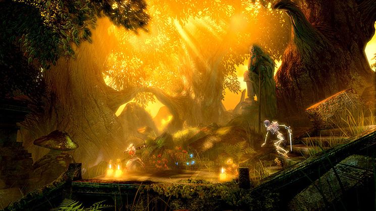 Trine: Enchanted Edition Screenshot (Nintendo eShop)
