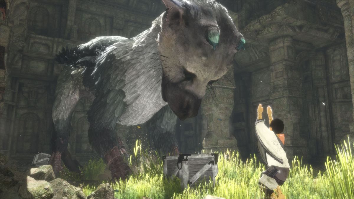 The Last Guardian (2016) - MobyGames