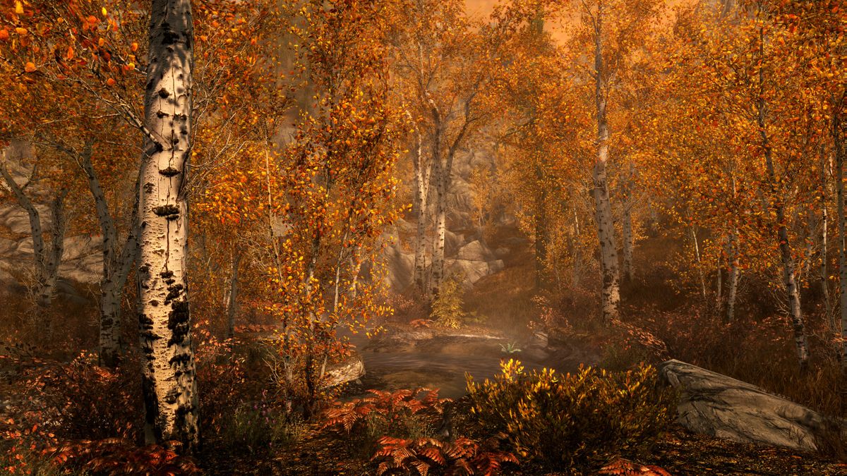 The Elder Scrolls V: Skyrim - Special Edition Screenshot (Steam)
