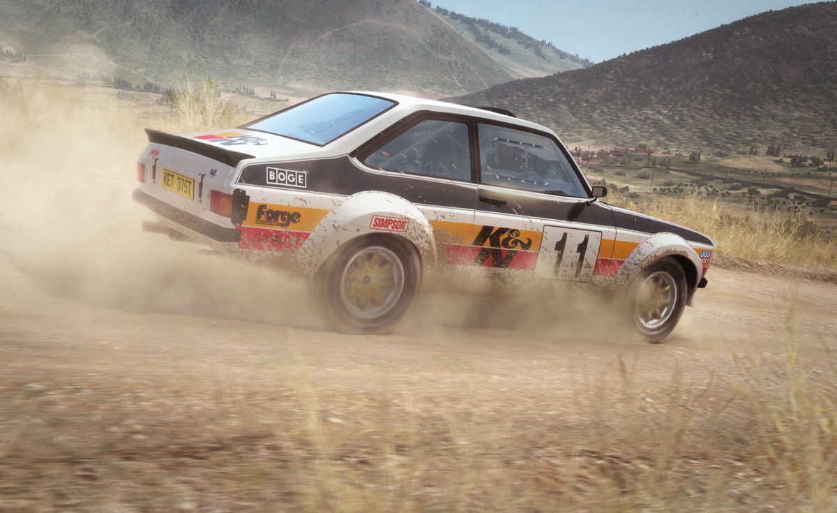 DiRT: Rally Screenshot (PlayStation.com)