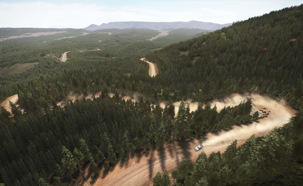 DiRT: Rally Screenshot (Steam)