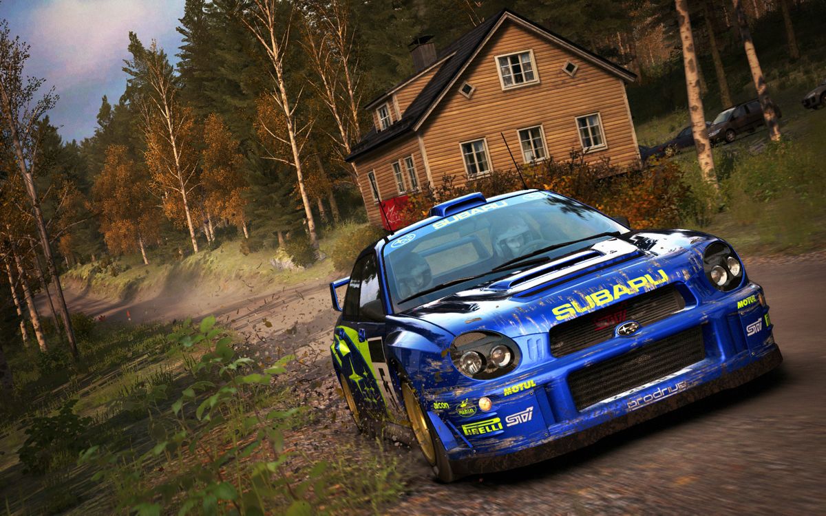 DiRT: Rally Screenshot (Steam)