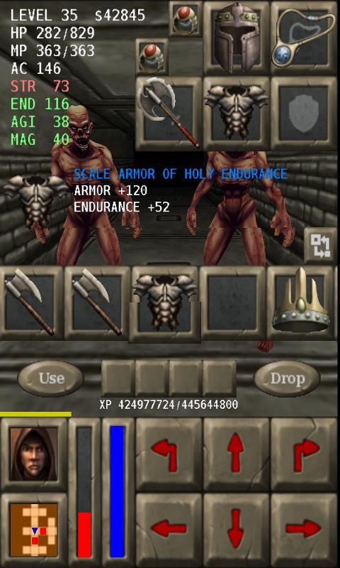 Deadly Dungeons Screenshot (Google Play)