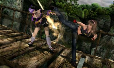 Dead or Alive: Dimensions Screenshot (Nintendo.com)