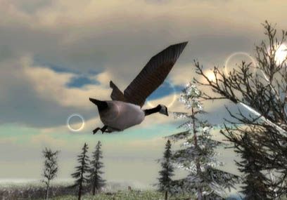 North American Hunting Extravaganza Screenshot (Nintendo.com)
