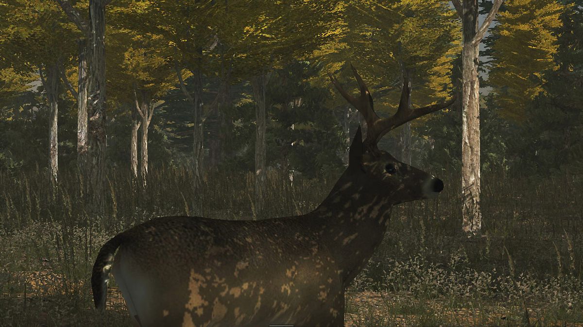 Deer Simulator Screenshot (PlayStation Store)