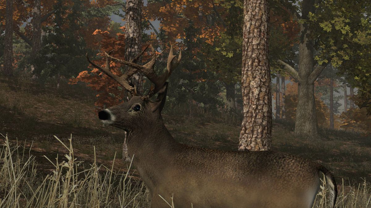 Deer Simulator Screenshot (PlayStation Store)