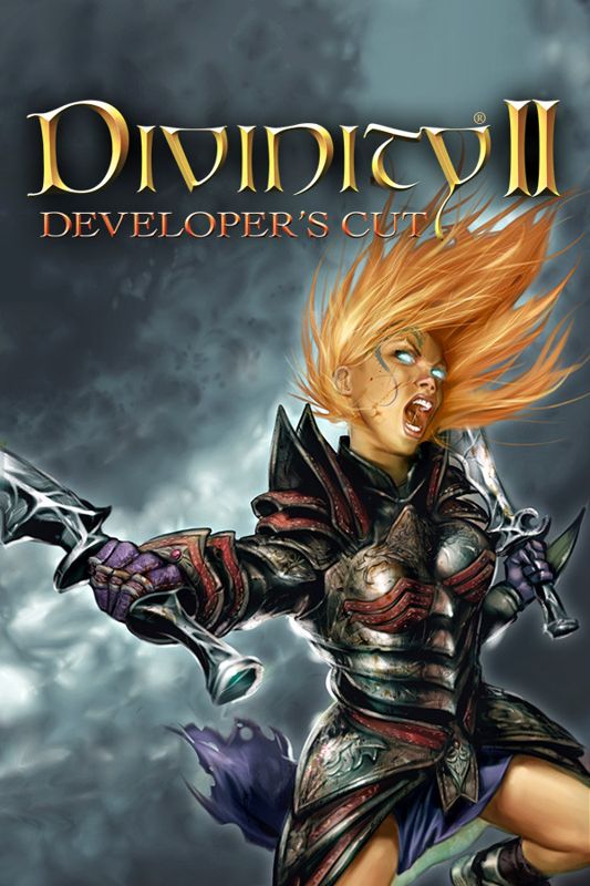 Divinity II: Developer's Cut Other (Steam Client)