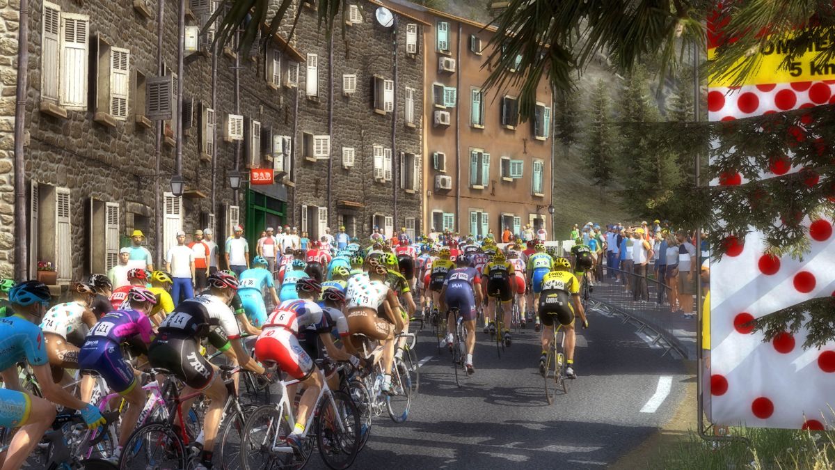 Pro Cycling Manager 2015 Screenshot (Steam)