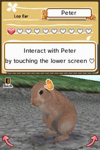 Animal Paradise Screenshot (Nintendo.com)