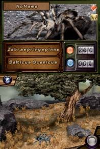 Discovery Kids: Spider Quest Screenshot (Nintendo.com)