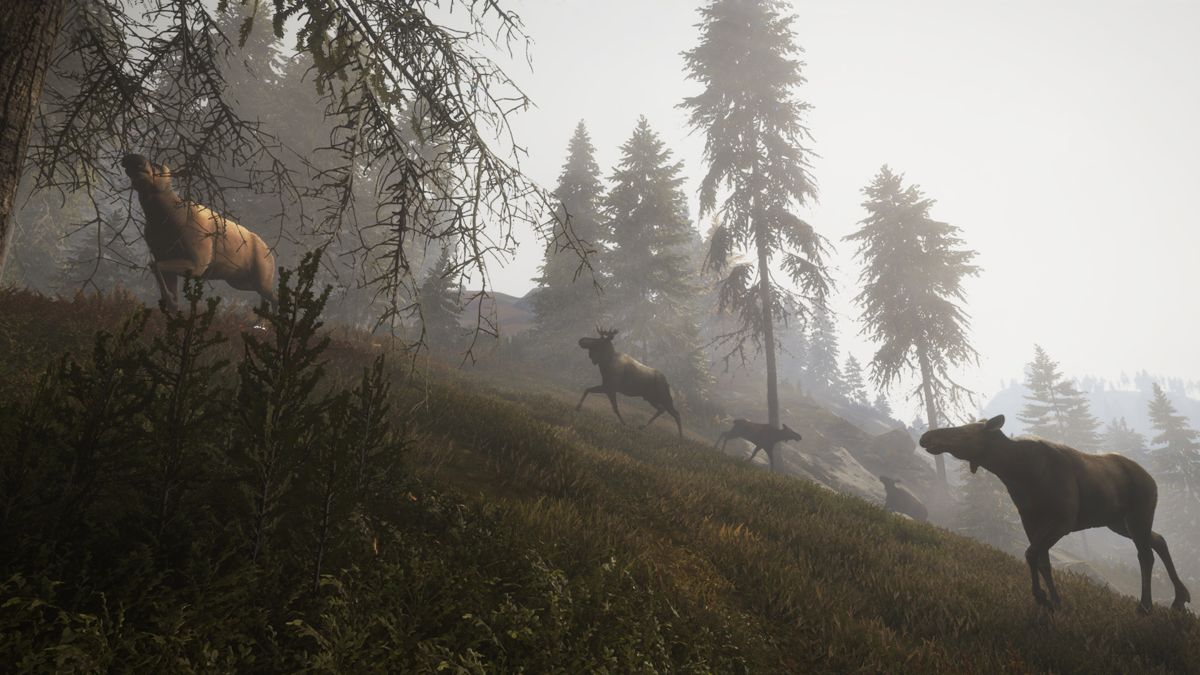 theHunter: Call of the Wild - Facing the Wild #1 Screenshot (Steam)