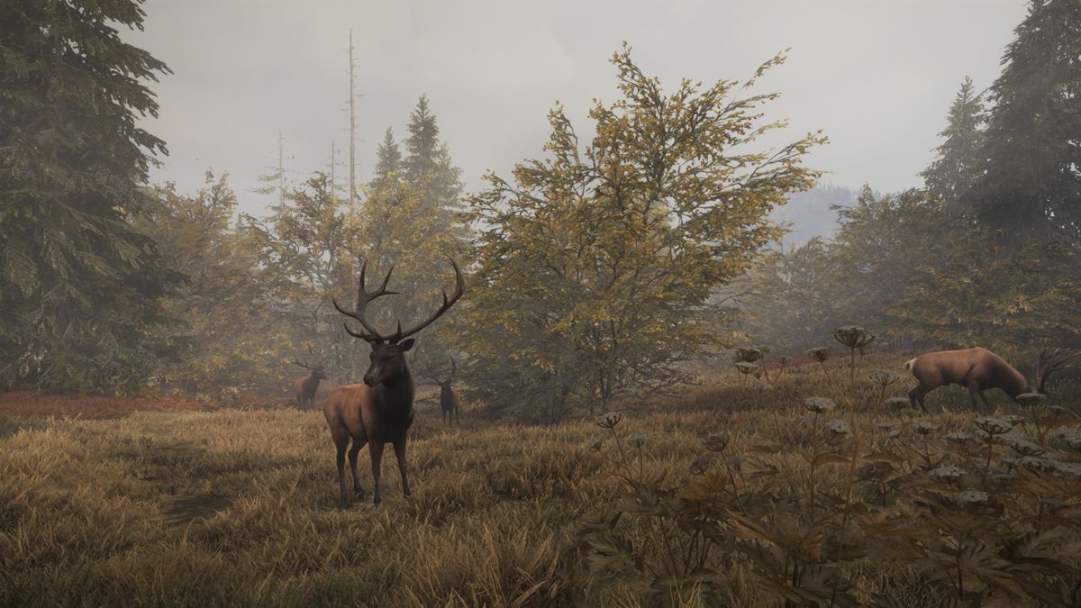 theHunter: Call of the Wild - Facing the Wild #1 Screenshot (Steam)