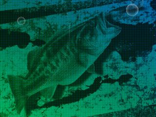 Angler's Club: Ultimate Bass Fishing 3D Screenshot (Nintendo.com)